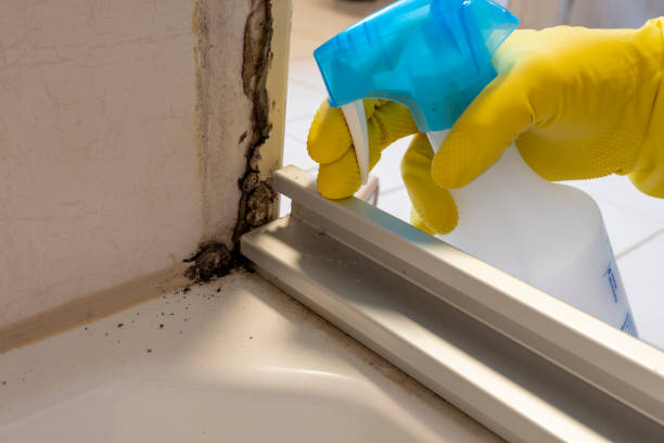 Trusted Pocono Ranch Lands, PA Mold Remediation Experts